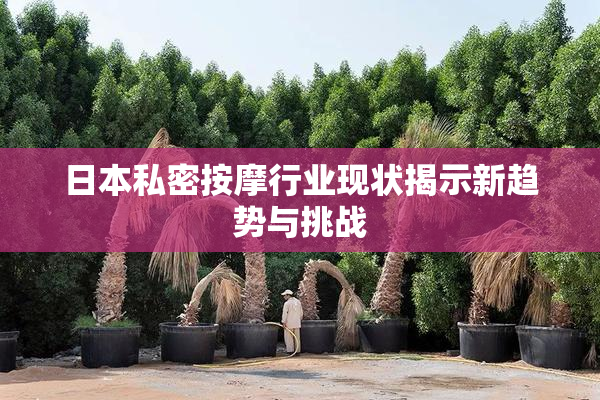 日本私密按摩行业现状揭示新趋势与挑战