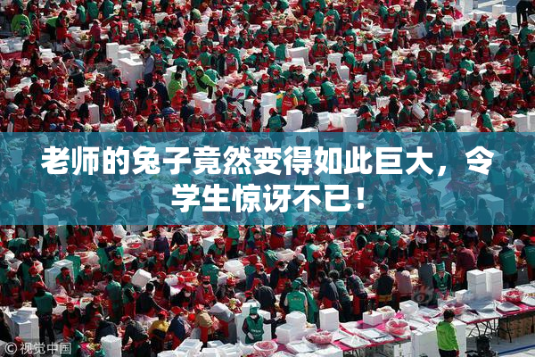 老师的兔子竟然变得如此巨大，令学生惊讶不已！