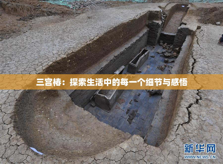 三宫椿：探索生活中的每一个细节与感悟
