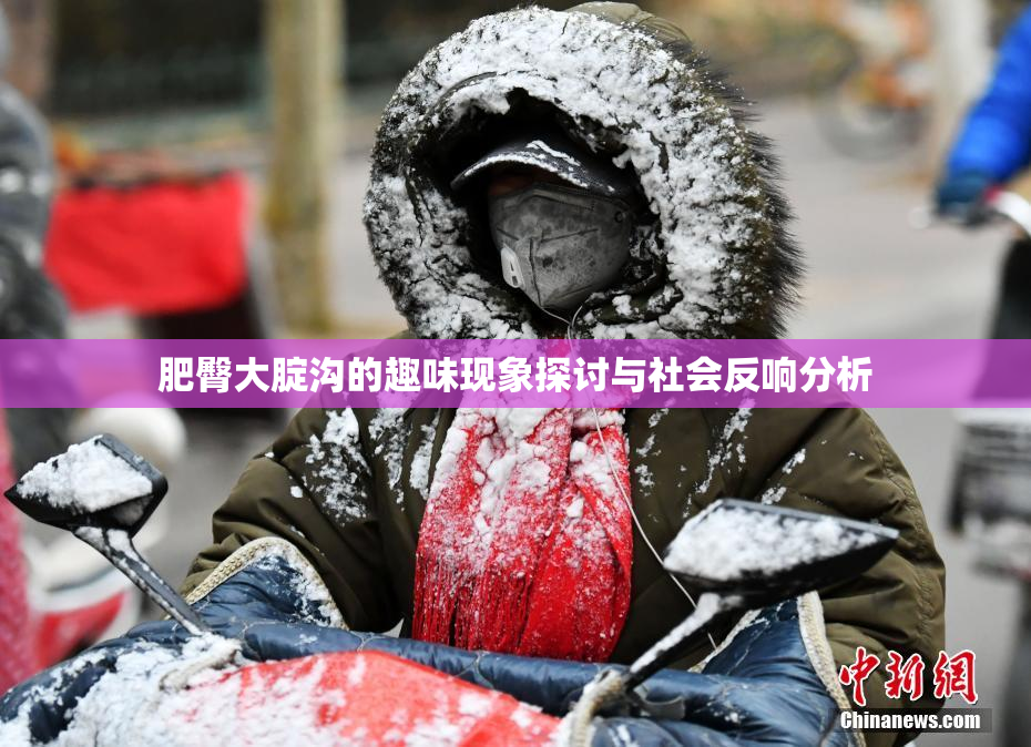 肥臀大腚沟的趣味现象探讨与社会反响分析
