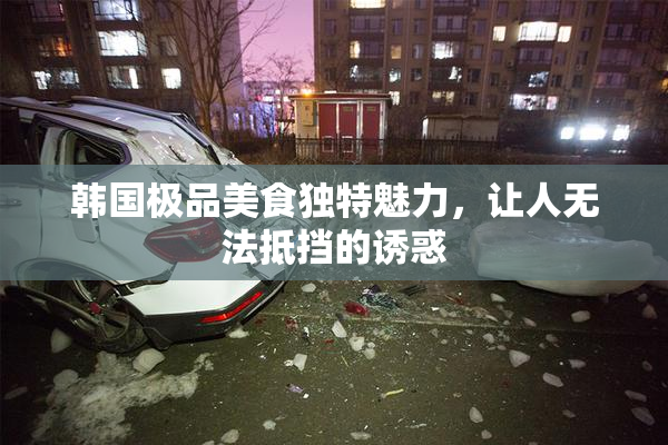 韩国极品美食独特魅力，让人无法抵挡的诱惑