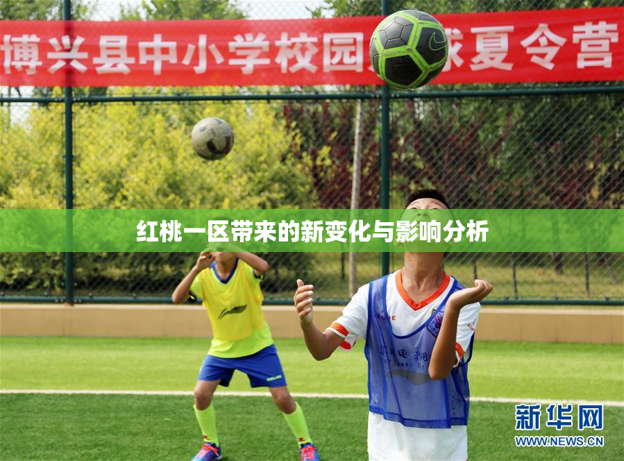 红桃一区带来的新变化与影响分析