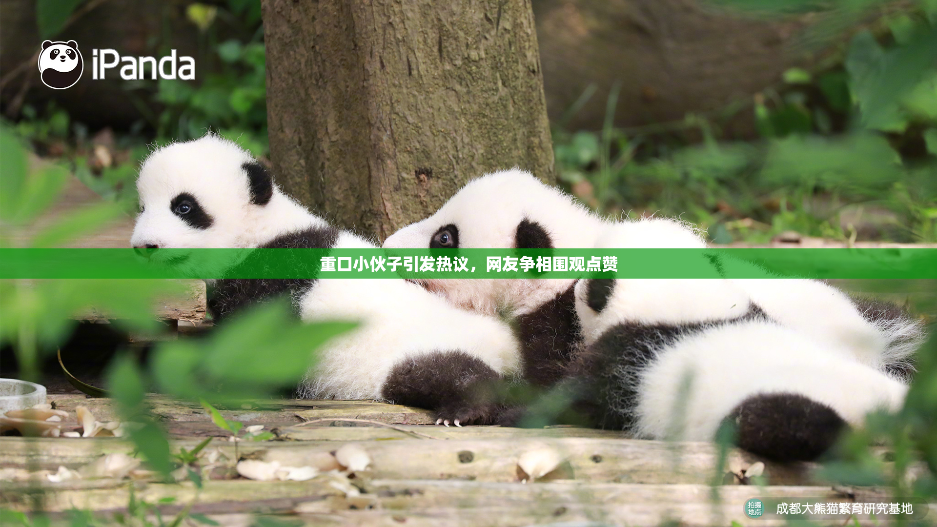 重口小伙子引发热议，网友争相围观点赞