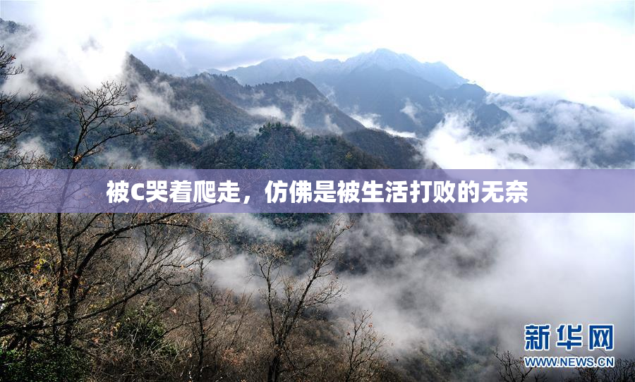 被C哭着爬走，仿佛是被生活打败的无奈