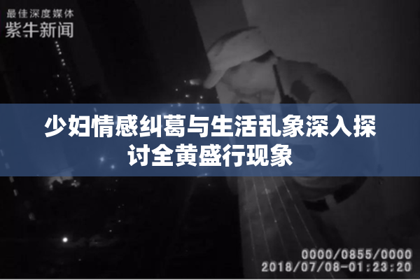 少妇情感纠葛与生活乱象深入探讨全黄盛行现象