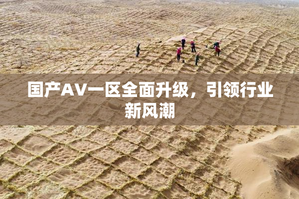 国产AV一区全面升级，引领行业新风潮