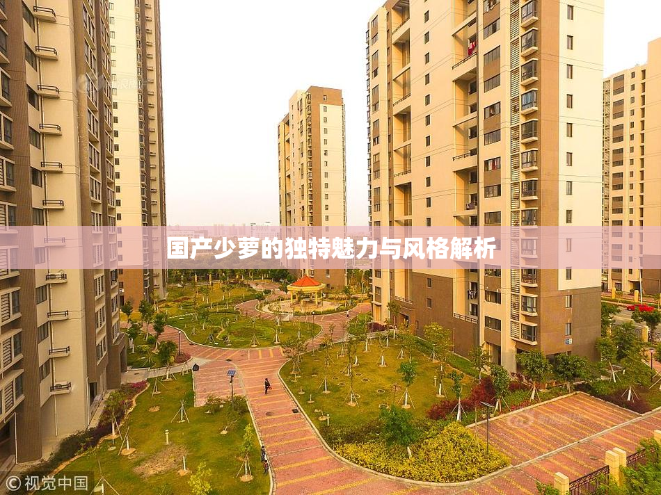 国产少萝的独特魅力与风格解析