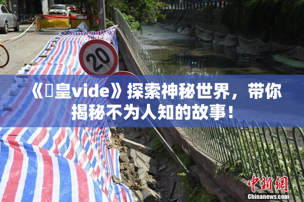 《嘼皇vide》探索神秘世界，带你揭秘不为人知的故事！