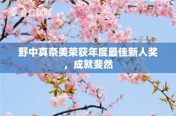 野中真奈美荣获年度最佳新人奖，成就斐然