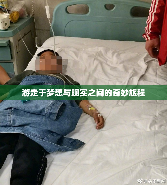 游走于梦想与现实之间的奇妙旅程