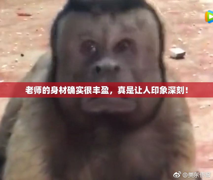 老师的身材确实很丰盈，真是让人印象深刻！