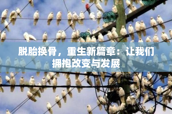 脱胎换骨，重生新篇章：让我们拥抱改变与发展