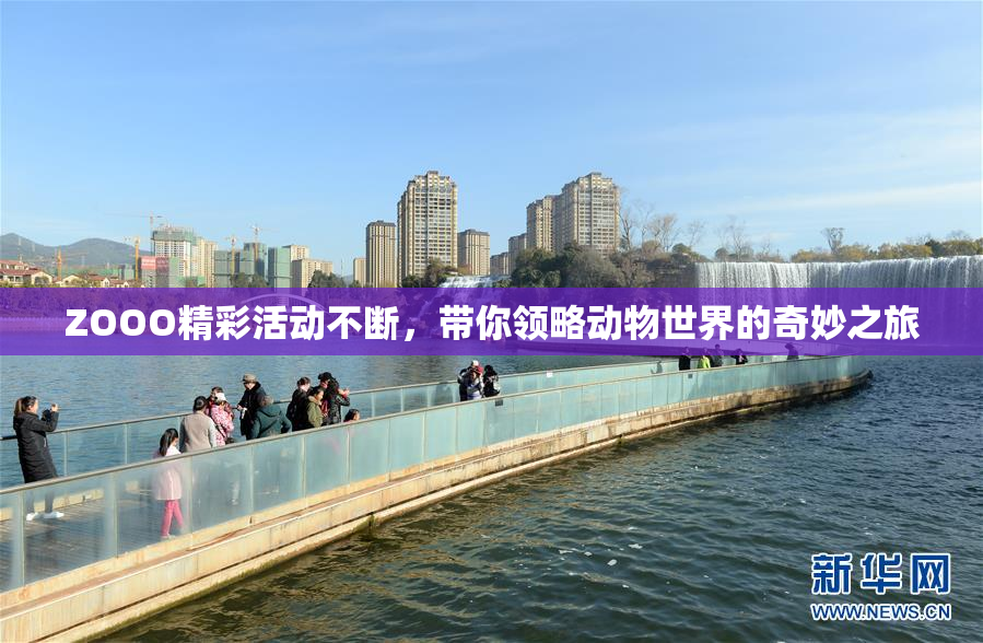 ZOOO精彩活动不断，带你领略动物世界的奇妙之旅