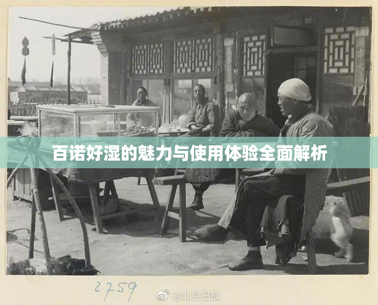 百诺好湿的魅力与使用体验全面解析