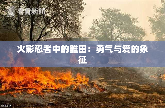 火影忍者中的雏田：勇气与爱的象征