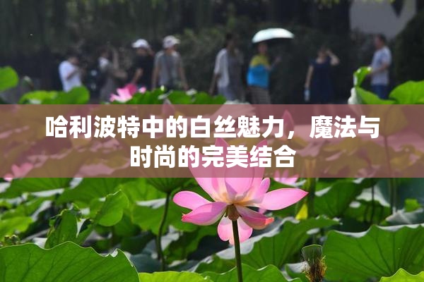 哈利波特中的白丝魅力，魔法与时尚的完美结合