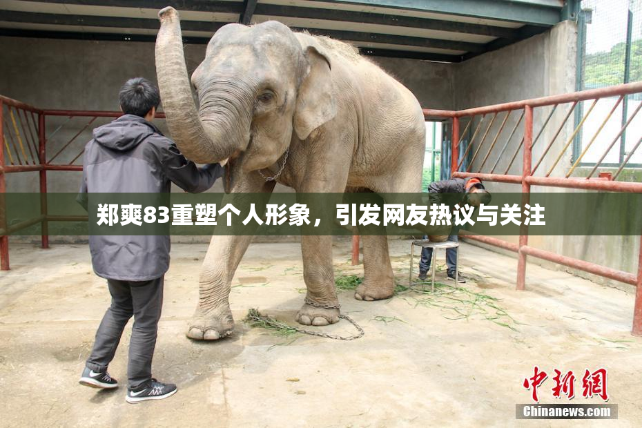 郑爽83重塑个人形象，引发网友热议与关注