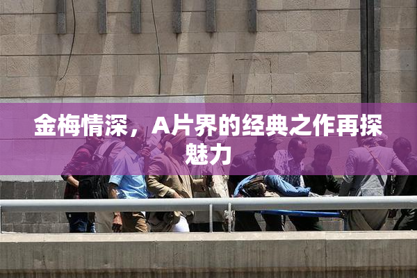 金梅情深，A片界的经典之作再探魅力