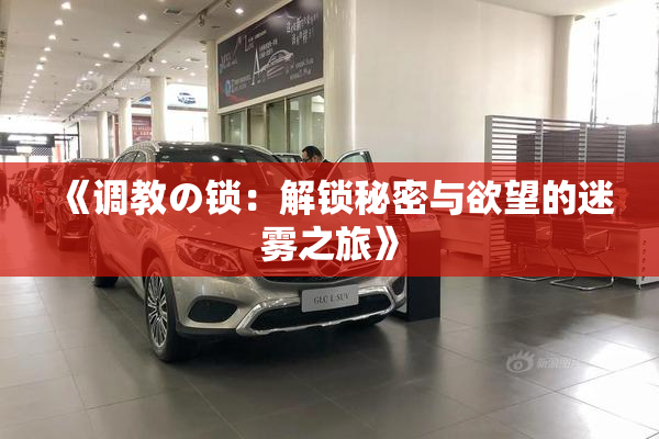 《调教の锁：解锁秘密与欲望的迷雾之旅》