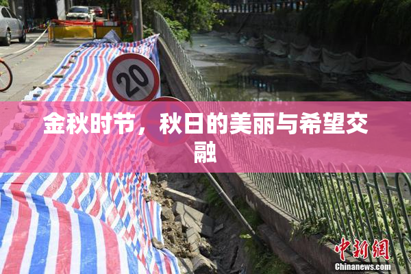 金秋时节，秋日的美丽与希望交融