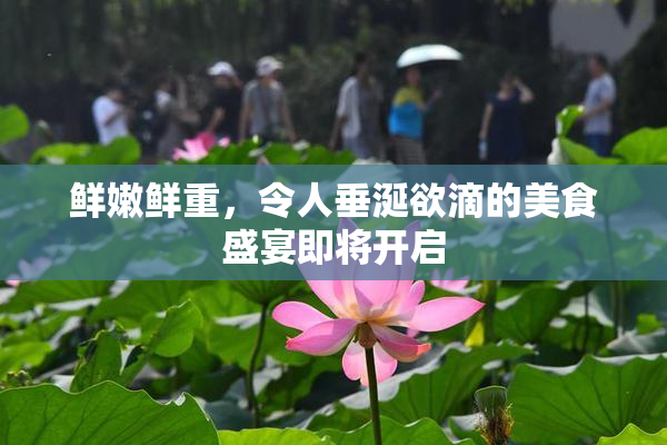 鲜嫩鲜重，令人垂涎欲滴的美食盛宴即将开启
