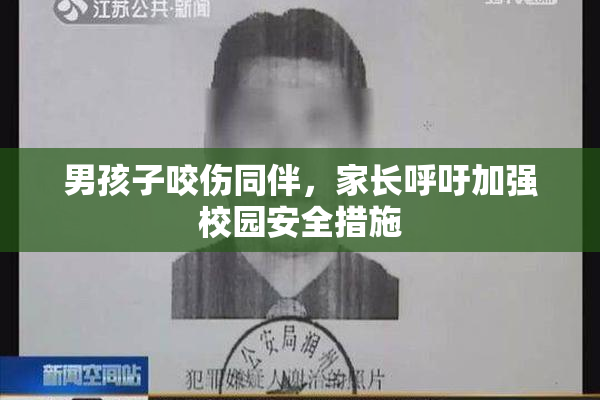 男孩子咬伤同伴，家长呼吁加强校园安全措施