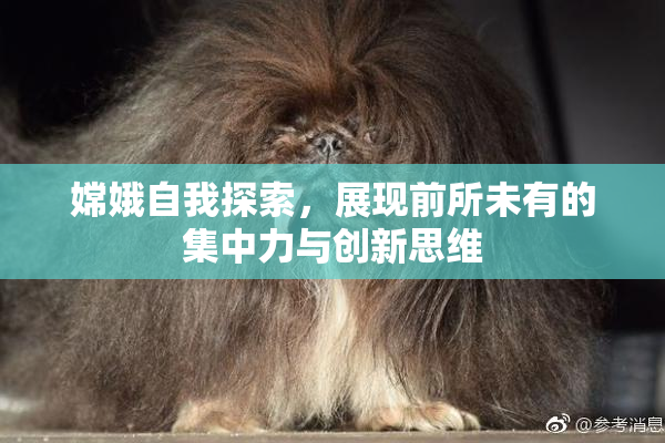 嫦娥自我探索，展现前所未有的集中力与创新思维