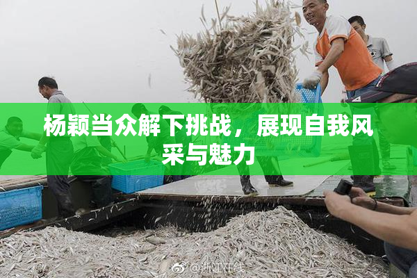 杨颖当众解下挑战，展现自我风采与魅力