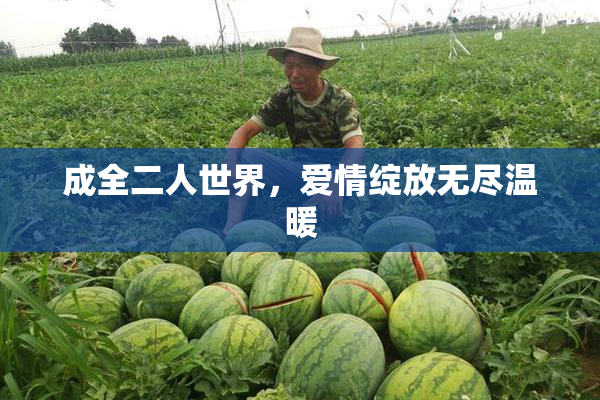 成全二人世界，爱情绽放无尽温暖
