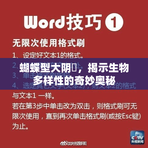 蝴蝶型大阴脣，揭示生物多样性的奇妙奥秘