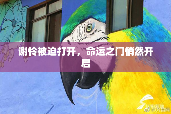 谢怜被迫打开，命运之门悄然开启