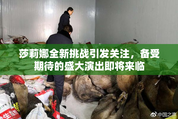莎莉娜全新挑战引发关注，备受期待的盛大演出即将来临