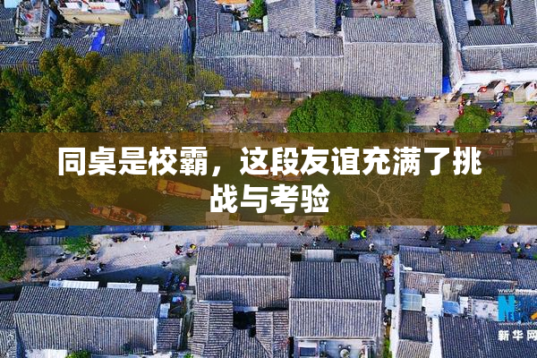 同桌是校霸，这段友谊充满了挑战与考验