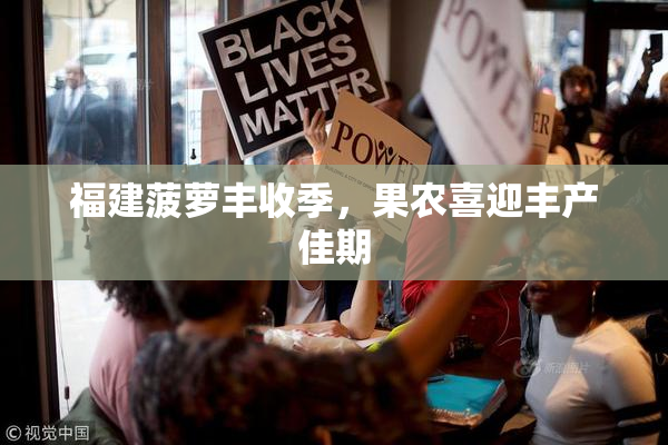 福建菠萝丰收季，果农喜迎丰产佳期