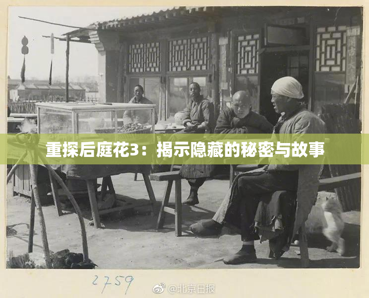 重探后庭花3：揭示隐藏的秘密与故事
