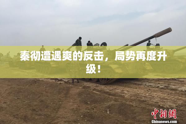 秦彻遭遇爽的反击，局势再度升级！