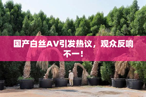 国产白丝AV引发热议，观众反响不一！