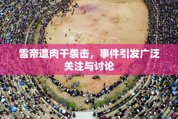 雪帝遭肉干袭击，事件引发广泛关注与讨论