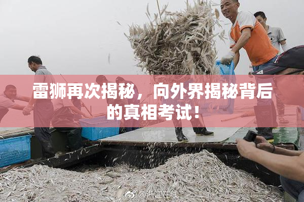雷狮再次揭秘，向外界揭秘背后的真相考试！