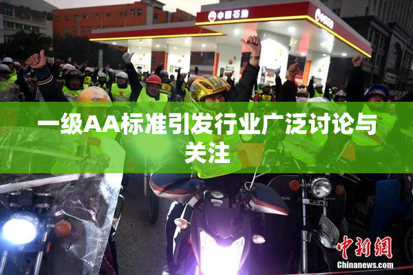 一级AA标准引发行业广泛讨论与关注