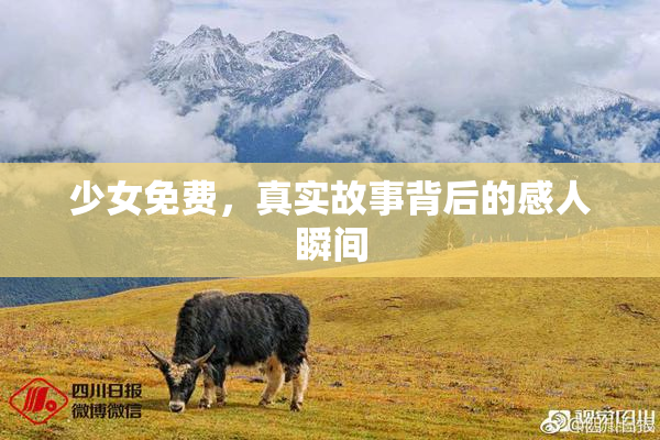 少女免费，真实故事背后的感人瞬间