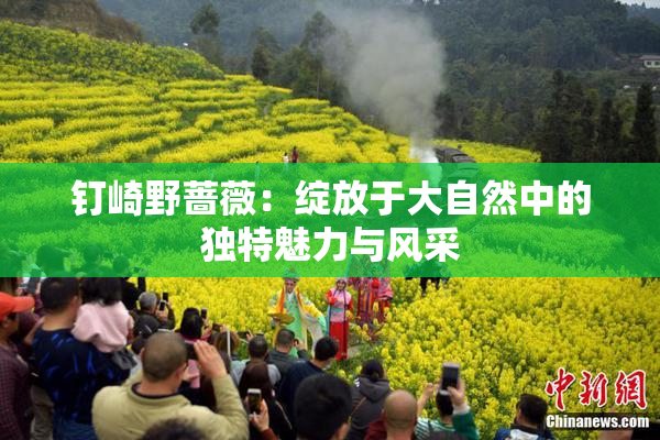 钉崎野蔷薇：绽放于大自然中的独特魅力与风采
