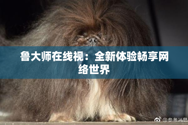 鲁大师在线视：全新体验畅享网络世界