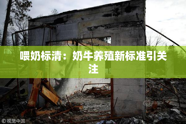 喂奶标清：奶牛养殖新标准引关注