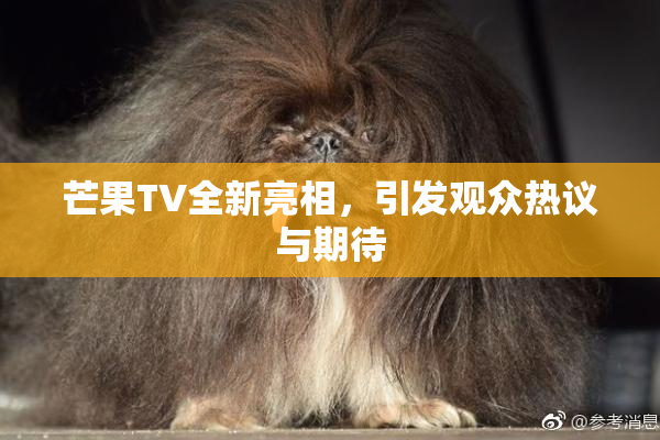 芒果TV全新亮相，引发观众热议与期待