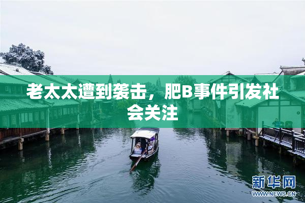老太太遭到袭击，肥B事件引发社会关注