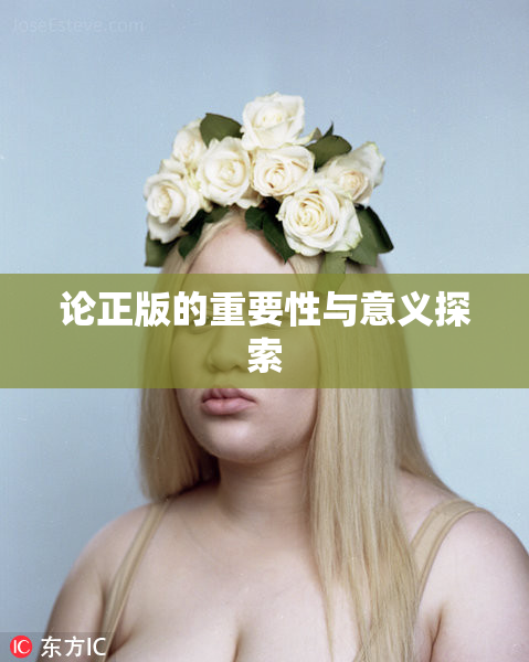 论正版的重要性与意义探索