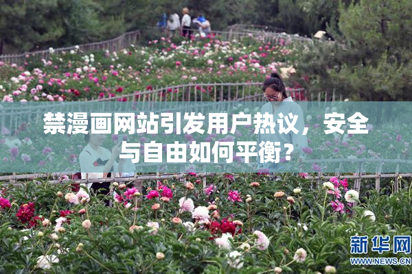 禁漫画网站引发用户热议，安全与自由如何平衡？