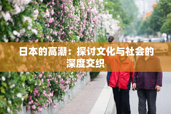 日本的高潮：探讨文化与社会的深度交织