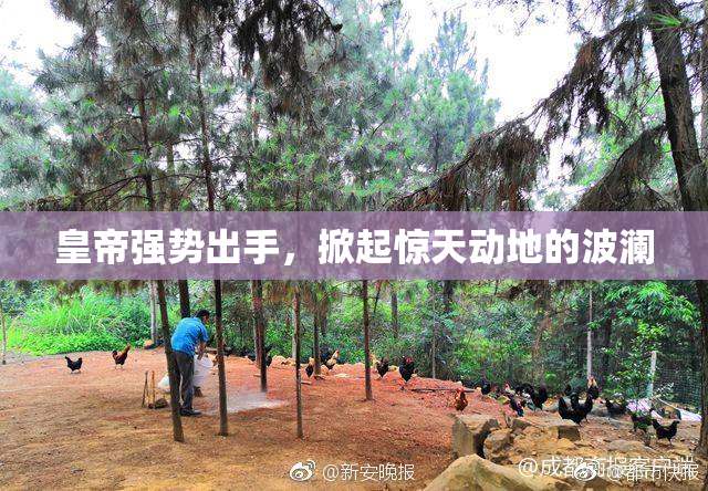 皇帝强势出手，掀起惊天动地的波澜